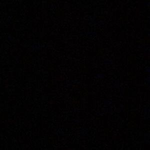 Meet your Posher, Tamar